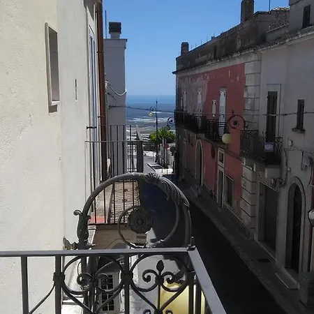 Belvedere